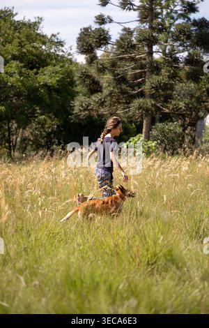 Eine junge Frau spielt mit ihrem Hund auf einem Feld voller Gras. Sie laufen zusammen und genießen die Natur an einem hellen, sonnigen Tag Stockfoto