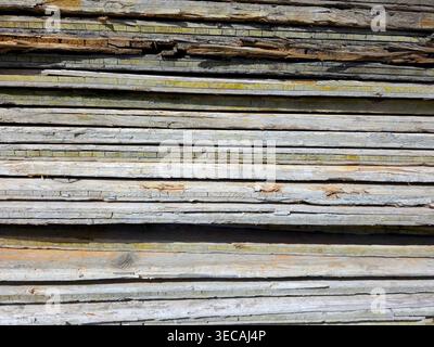 Holzbretter zeigen Anzeichen von Fäulnis und Verschleiß. Sie sind übereinander gestapelt. Die Szene zeigt eine natürliche, lichtdurchflutete Umgebung im Freien. Stockfoto