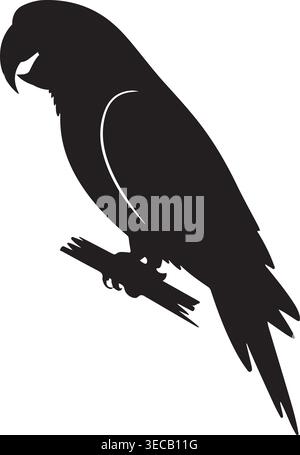 Auffällige schwarze Silhouette eines Papageienvogels auf einem Ast, dargestellt in einem minimalistischen Vektorstil. Ideal für Natur, Tierwelt, exotische Tiere und. Stock Vektor