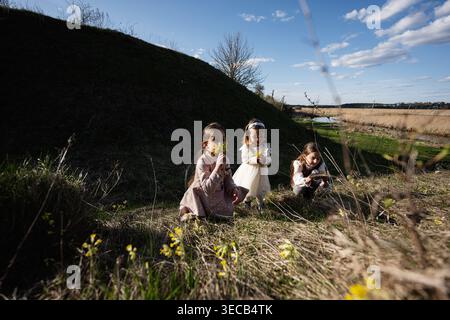 Drei Kinder sammeln gelbe Wildblumen an einem sonnigen Frühlingnachmittag auf einer grasbewachsenen Flusswiese. Stockfoto