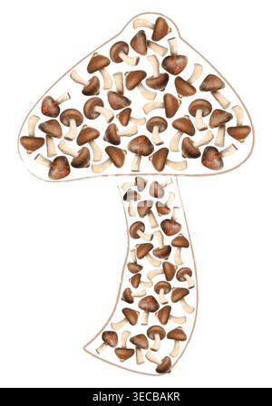 Shiitake-Pilze in Form von Pilzen auf weißem Hintergrund Stockfoto