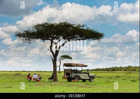 Foto-Safari-Touristen bei einem Picknick unter einem Kameldorn, Kenia, Narok County, Masai Mara Nationalpark Stockfoto
