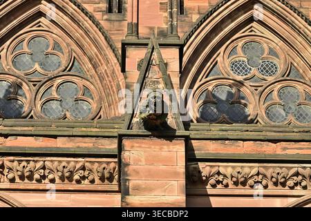 Gotische Kathedrale, Gargoyle unter verzierten Tracery-Fenstern und geschnitztem Laub Stockfoto