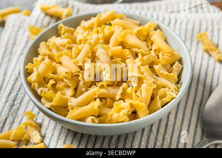 Rohe trockene italienische Campanelle Pasta in einer Schüssel zum Kochen Stockfoto
