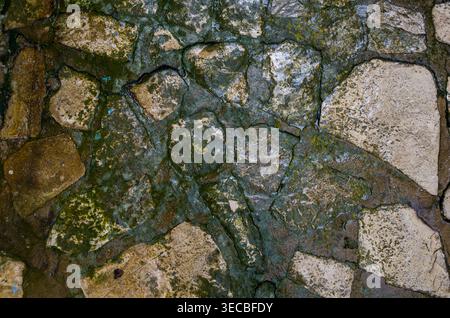 Verwitterte Steinmauer mit Moos und grüner Flechte Stockfoto