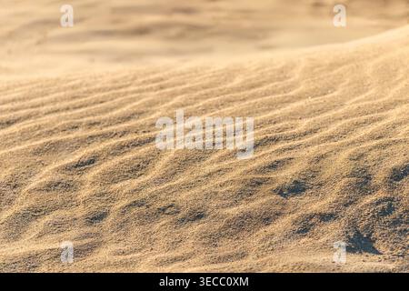 Windförmige, wellige Sandoberfläche in warmem Sonnenlicht bildet natürlichen Wüstentexturhintergrund Stockfoto