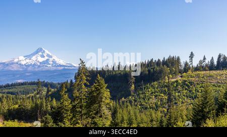 Mt. Die Haube erhebt sich am klaren blauen Tag über der Waldlichtung des Frühlings Stockfoto