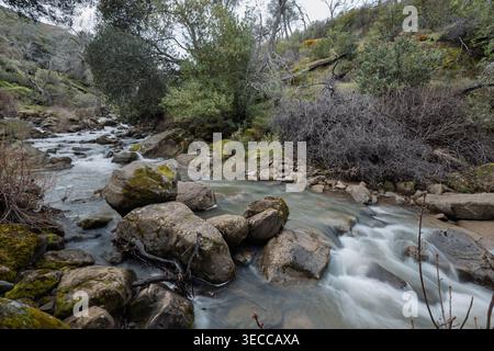Das Langzeitfoto erfasst die Bewegungen des Wassers, während es über moosbedeckte Felsbrocken kaskadiert Stockfoto