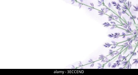 Lavendelzweig radiale Anordnung Aquarellillustration. Florales Hintergrunddesign mit lila Blumen in der Provence-Stil Vorlage mit Kopierraum Stockfoto