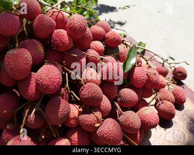 Litschi, frisch geerntet in den weihnachtsferien auf der Insel La Réunion. Tropische Früchte auf dem lokalen Markt. Litchi chinensis Stockfoto