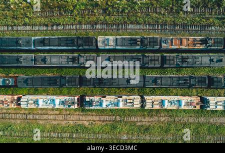 Blick von oben nach unten auf viele alte, verlassene Züge, die tagsüber auf zahlreichen Gleisen in einem großen, grünen Eisenbahndepot sitzen Stockfoto
