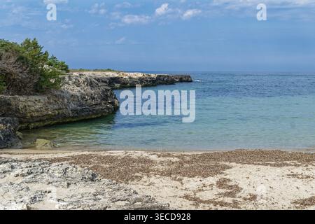 Landschaft am Strand Santa Lucia an der Adria. Santa Lucia, Ostuni, Provinz Brindisi, Apulien, Süditalien, Italien Stockfoto