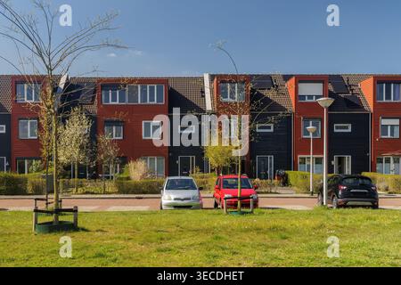 Holländische rote Häuser mit Autos davor in Zutphen, Gelderland Stockfoto