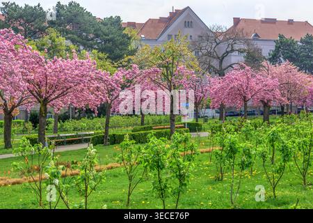 Wien, Herderpark // Wien, Herderpark Stockfoto