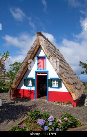 Traditionelle madeirische Häuser, bekannt als casa de Colmo. Gelegen in der Stadt Santana auf Madeira Stockfoto
