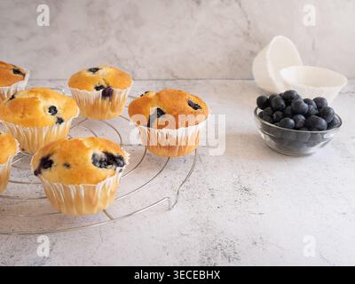 Ansicht von hausgemachten Heidelbeermuffins mit frischen Beeren und Zutaten auf hellem Hintergrund Stockfoto