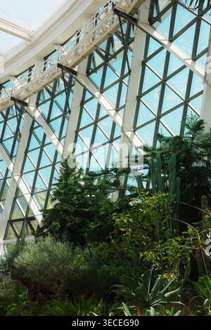 Geometrische Kuppeldecke aus Stahl und Glas eines botanischen Gewächshauses im Wintergarten mit hohen Nadelbäumen, Säulenkakteen und üppigen Mischpflanzen darunter. Stockfoto