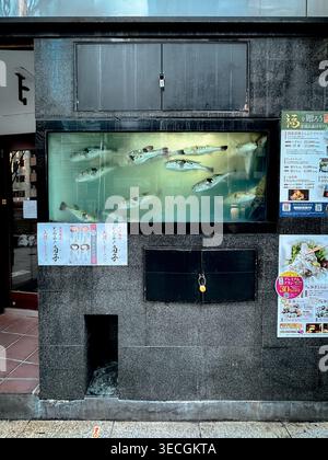 Blowfish Restaurant Schild an der modernen Gebäudefassade im Shibuya-Viertel von Tokio, Japan Stockfoto