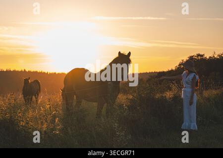 Ein Pferd auf einer Wiese in den Bergen Polens Stockfoto