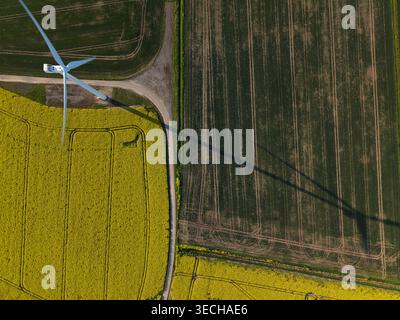 Aus der Vogelperspektive einer Windturbine auf der Keadby Wind Farm, die einen langen Schatten über gelben Rapssamen und grünen landwirtschaftlichen Feldern in Keadby, England, Vereinigte, wirft Stockfoto