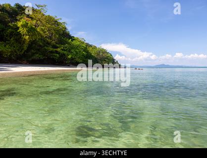 Koh Kradan Strand mit klarem türkisfarbenem Wasser und üppigem Grün. Sandstrand trifft auf dichten tropischen Wald unter blauem Himmel. Stockfoto