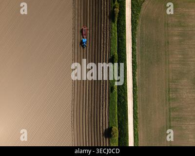 Luftaufnahme eines blauen Traktors, der ein rotes Arbeitsgerät auf einem braunen landwirtschaftlichen Feld zieht, mit parallelen bearbeiteten Linien neben einem grünen, grasbewachsenen Pfad im Knoten Stockfoto