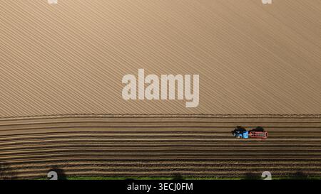 Luftaufnahme eines blauen Traktors mit einem roten Anhänger, der ein großes landwirtschaftliches Feld mit markanten diagonalen Furchen und braunem Boden in Knottingley, England, bebaut Stockfoto