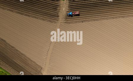 Luftaufnahme eines blauen Traktors, der ein großes landwirtschaftliches Feld mit präzisen parallelen Furchen bebaut, Knottingley, England, Vereinigtes Königreich. Stockfoto