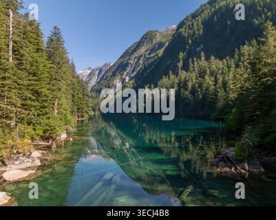 Aus der Vogelperspektive auf einen türkisfarbenen Bergsee mit untergetauchten Baumstämmen und Reflexen von dichten immergrünen Wäldern und steilen Berggipfeln. Stockfoto