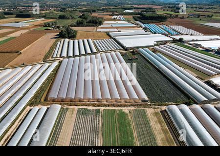 Luftaufnahme großer landwirtschaftlicher Gewächshäuser und bebauter Felder unter einem klaren blauen Himmel Bra, Piemont, Italien. Stockfoto