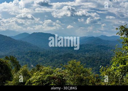Malerische Berglandschaft in tropischer Regenwald-Wildnis an einem bewölkten Tag Stockfoto
