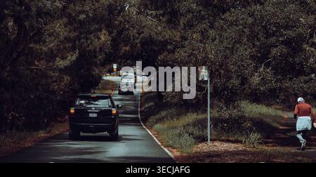 Autos fahren durch einen dicht bewaldeten Abschnitt des 17-Mile Drive in Pebble Beach, Kalifornien, mit einem Fußgänger auf einem Nebenweg. Stockfoto