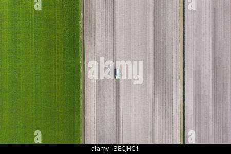 Luftaufnahme eines blauen Traktors, der auf einem bearbeiteten Feld mit geraden Furchen neben einer leuchtend grünen Wiese arbeitet. Stockfoto