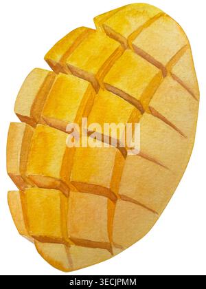 Botanische Illustrationen mit Aquarellen. Mangobrüchte und Blumen, mit Scheiben und Blättern isoliert auf weißem Hintergrund. Für Verpackung, Lebensmitteldesign, m Stockfoto