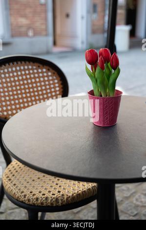 Intimes Café im Freien mit blühenden Tulpen und einladenden rustikalen Möbeln Stockfoto