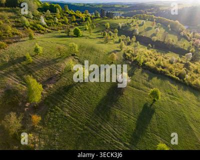 Aus der Vogelperspektive auf sanfte grüne Hügel mit verstreuten Bäumen und langen Schatten während der goldenen Stunde in Cerin, Banskobystricky kraj, Slowakei. Stockfoto