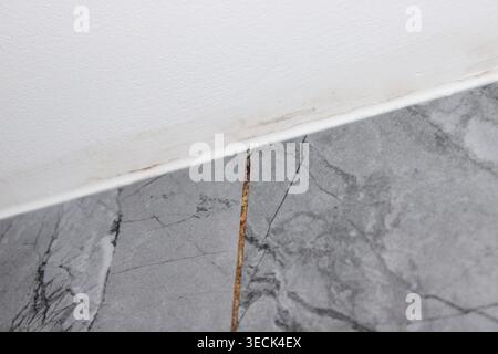 Feuchte Decke mit Schimmelflecken in der Ecke des Badezimmers Stockfoto