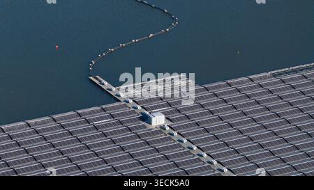 Luftaufnahme des schwimmenden Solarparks Bomhofsplas mit Reihen von Photovoltaikanlagen und einem zentralen Fußweg auf dem Wasser in Zwolle, Overijssel, Netherla Stockfoto