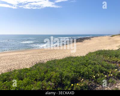 Ein breiter Panoramablick auf Praia de Bocamar unter einem klaren blauen Himmel. Helles natürliches Sonnenlicht unterstreicht die Texturen der grünen Küstenvegetation und Stockfoto