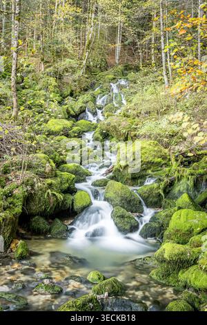 Langzeitbelichtung eines kleinen Wasserfalls und eines klaren Flusses, der über moosige Felsen in einem üppigen Wald in LODs, Frankreich, fließt, mit sanftem Wasser und Herbst Stockfoto
