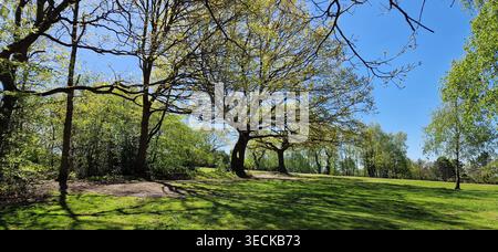 Von Bäumen gesäumte Grenze im Marple Golf Club Stockfoto