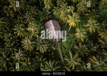 Drohnenblick auf eine strohgedeckte Hütte, versteckt in dichten Palmendächern auf Mentawai, Snake Island in der Nähe von Kandui, Indonesien, mit üppigem tropischem Grün und einem schmalen sa Stockfoto