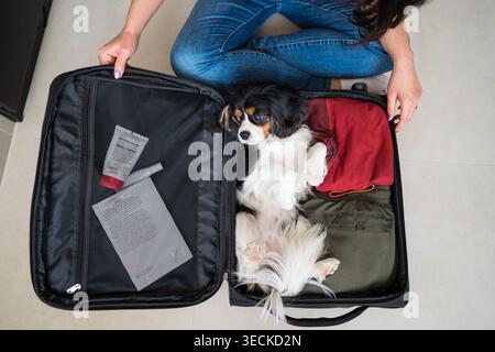 Die Frau packt einen Koffer, während ihr kleiner Hund auf gefalteten Kleidern liegt, um die Tierbindung, Reisevorbereitung und die Freude, mit einem zu reisen, festzuhalten Stockfoto