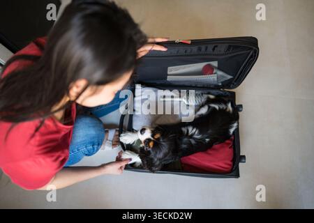 Blick von oben auf eine Frau, die einen Koffer packt, während ihr kleiner Hund im Inneren liegt, was einen süßen Moment der Tierbindung während der Reisevorbereitung für eine Reise mit schafft Stockfoto