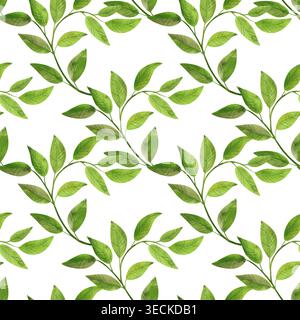 Zweig mit grünen Blättern, nahtloses Aquarellmuster. Üppiges, lebendiges, handgezeichnetes Laub. Illustration von Pflanzen und Kräutern zum Verpacken, Verpacken und Stockfoto
