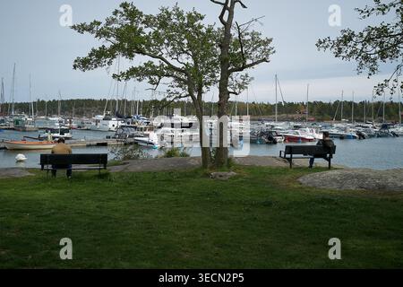 Ruhige Hafenszene mit angedockten Booten und Grün. Zwei Bänke stehen unter einem Laubbaum in ruhigem Wasser. Nynashamn, Stockholmer County, Schweden, 18. Mai 2025 Stockfoto