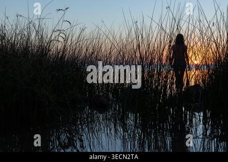 Eine junge Frau steht am Ufer des Wassers und blickt auf den Sonnenuntergang über dem See. Hohe Pflanzen und Wasser umgeben sie, während der Himmel seine Farbe ändert. Diese Messung Stockfoto