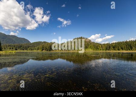 Im Minnekhada Regional Park Coquitlam Canada werden weiße Wolken über einer ruhigen Sumpflandschaft mit Reflexionen bedeckt Stockfoto