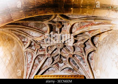 Gotische Decke der Sakristei. Stiftskirche San Pedro de Cervatos. Cervatos, Campoo de Enmedio, Kantabrien, Spanien, Europa Stockfoto