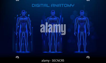 3D menschlicher Körper. Anatomie medizinische Silhouette Visualisierung, digitale AI Mann Gesundheit Technologie. Muskel-Person-Figur, männliches Modell biometrisches Mapping. Diagnose und Präzisionssimulation. Abstraktes Vektorkonzept Stock Vektor